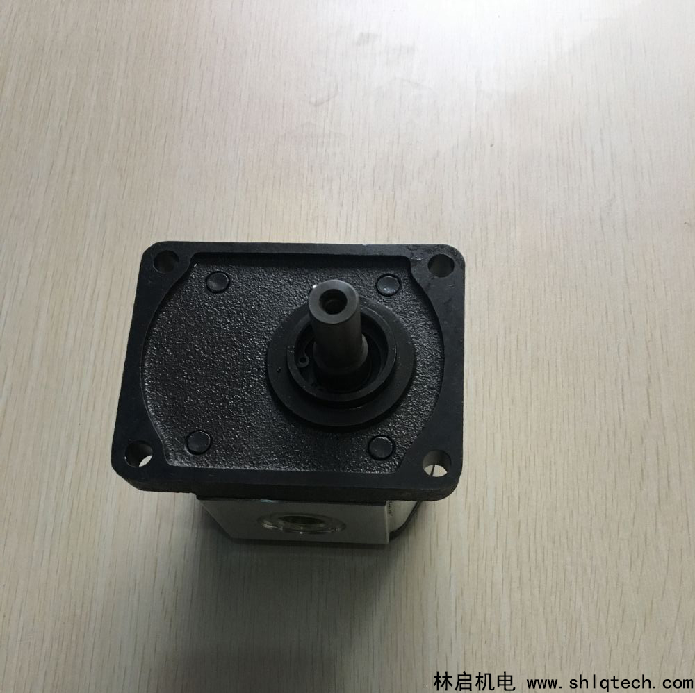 罗茨齿轮泵02ZAG08E034S