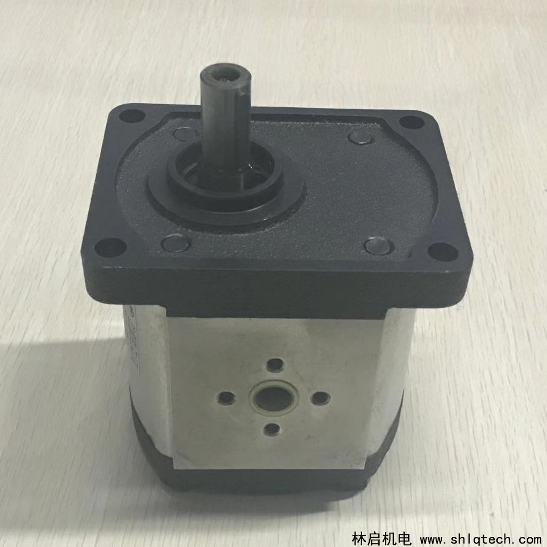 罗茨齿轮泵02ZAG11E032D