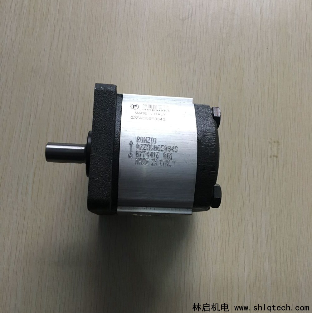 罗茨齿轮泵02ZAG06E034S