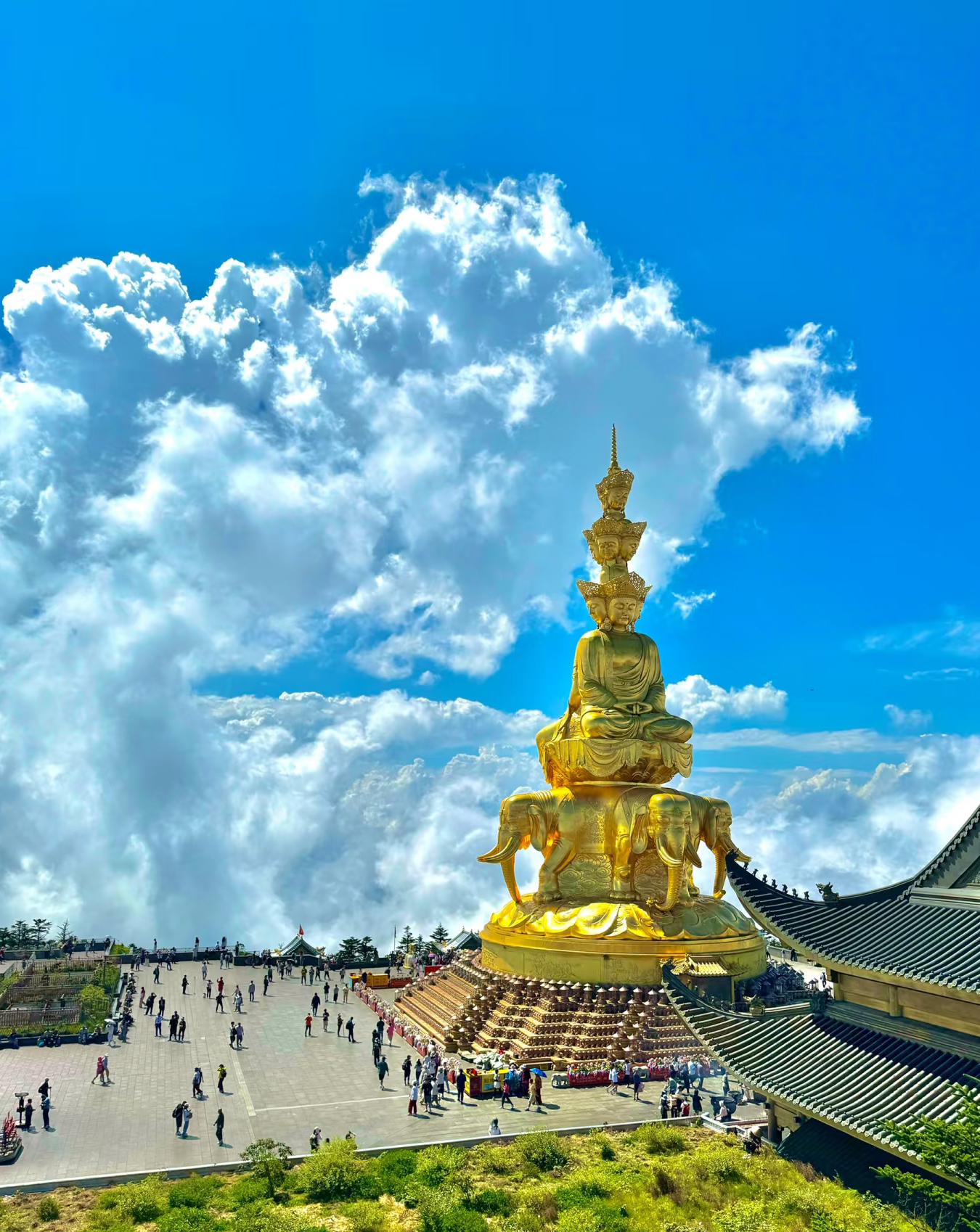 乐山大佛+峨眉山纯玩二日游