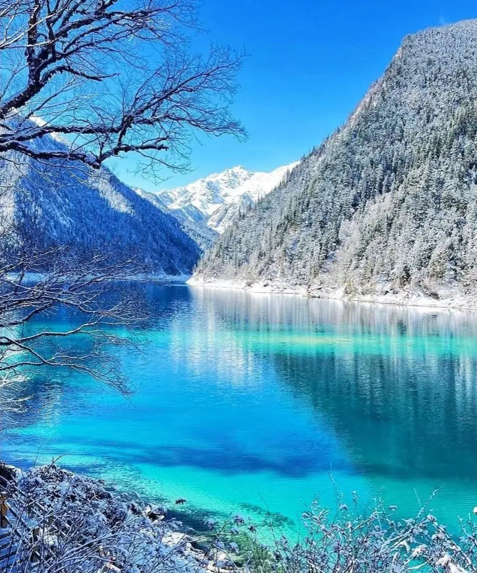 【白皮书】如何比选靠谱四川地接？30问尽调清单+评分表（团建/研学/党建｜2026）