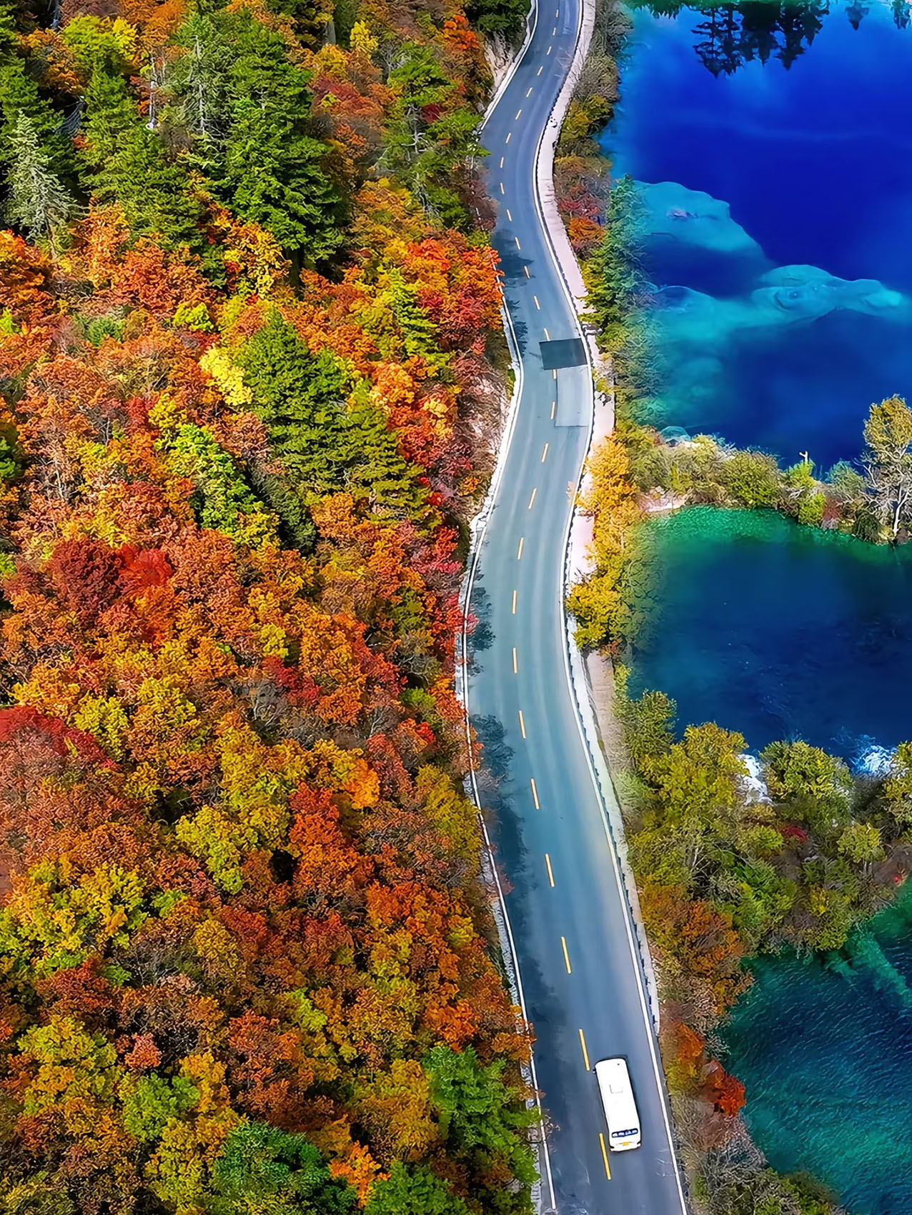 九寨沟懒人游--九寨沟·黄龙·松州古城纯玩三日