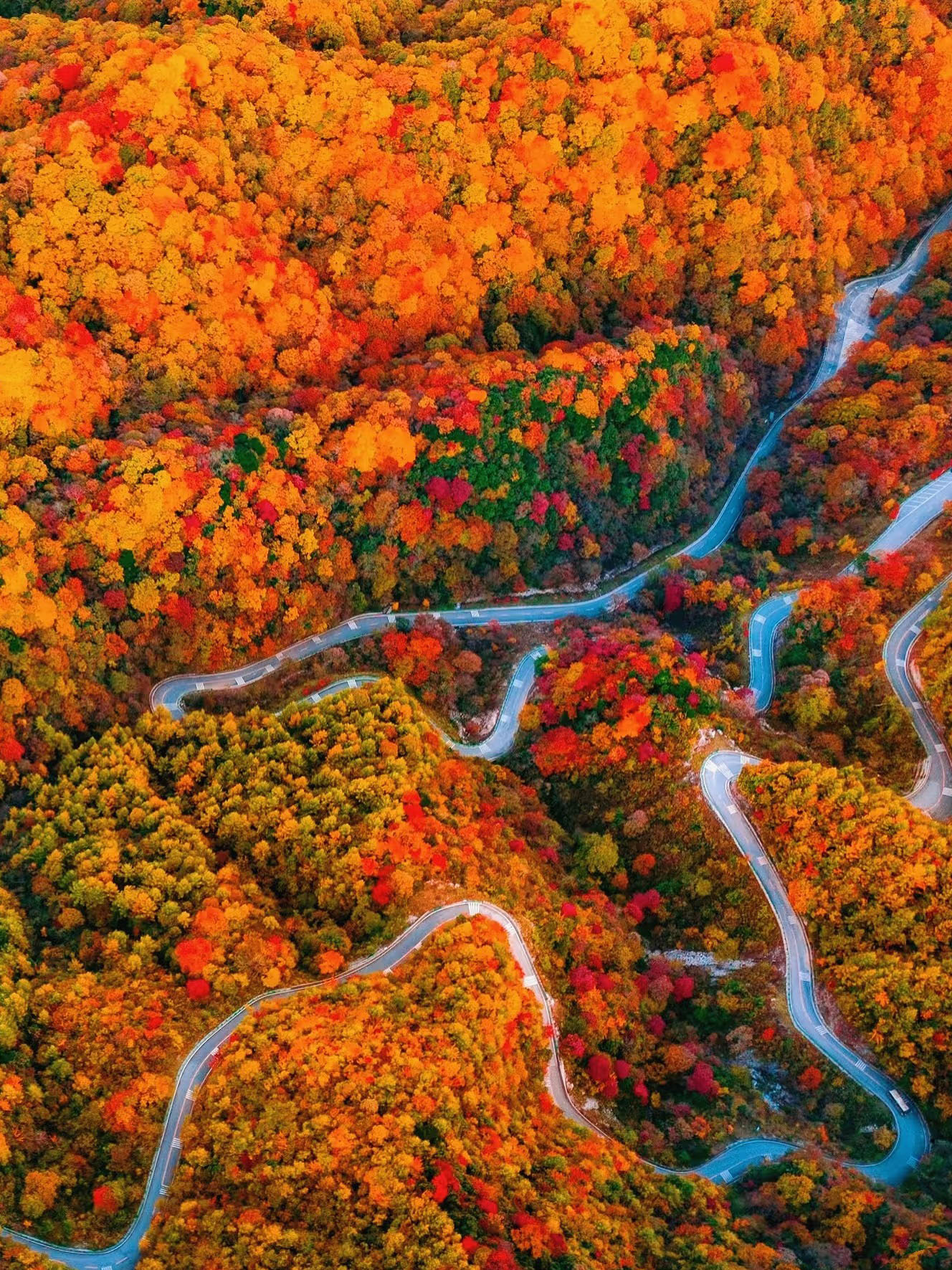 光雾山+十八月潭+恩阳古镇纯玩三日游