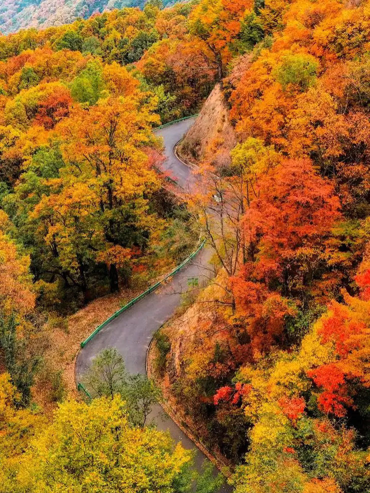 光雾山+十八月潭+恩阳古镇纯玩三日游