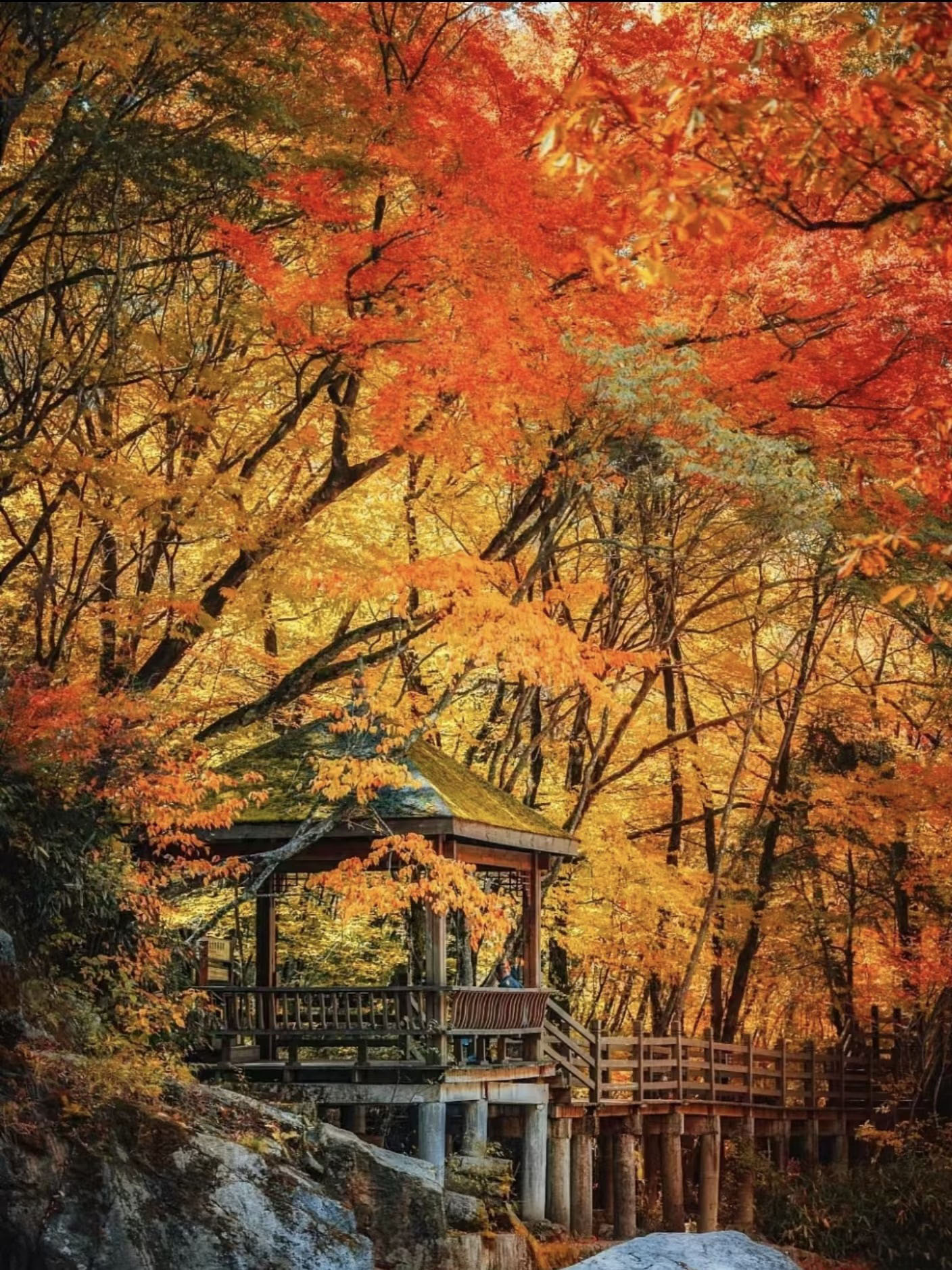 光雾山+十八月潭+恩阳古镇纯玩三日游