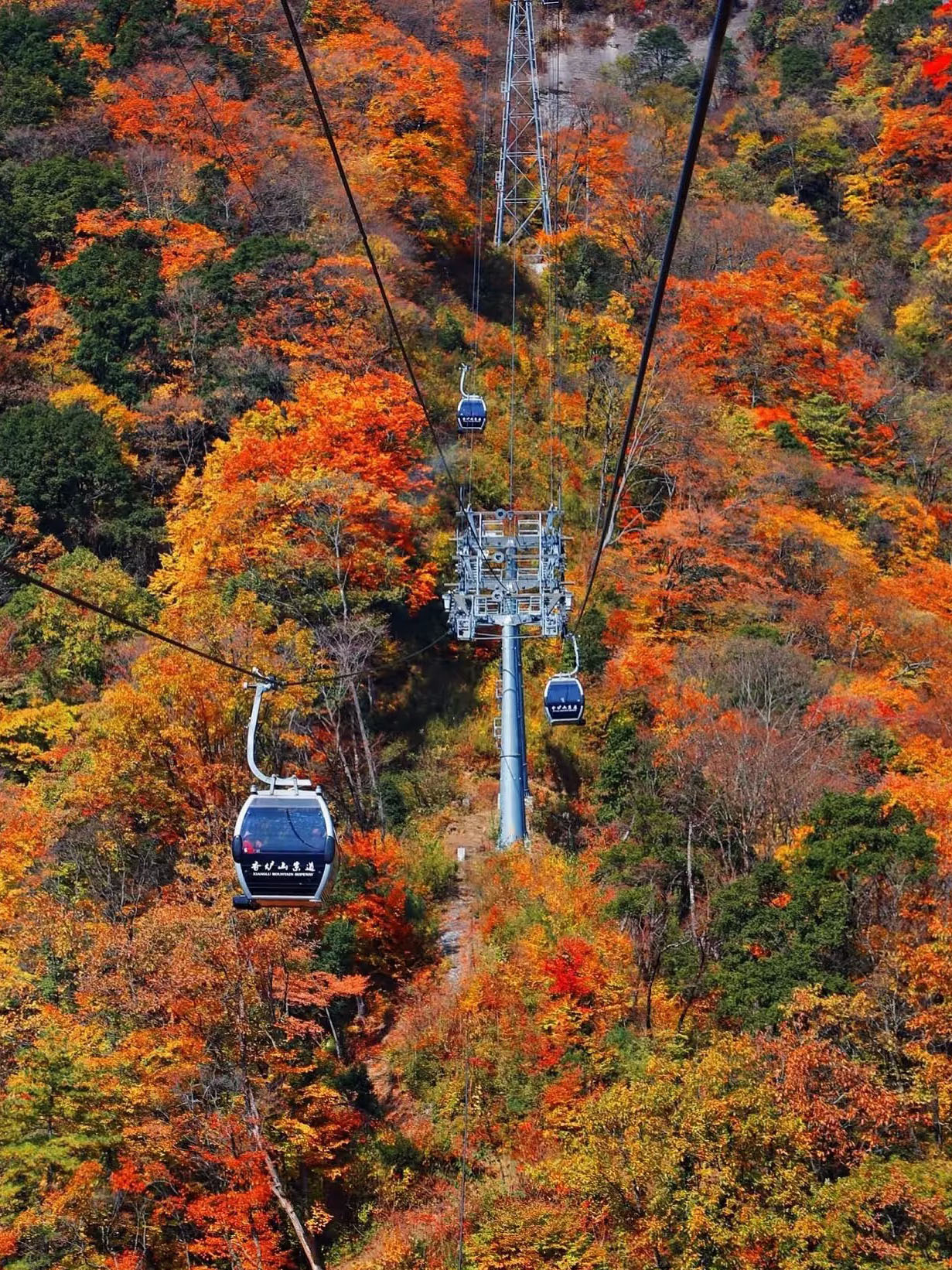 光雾山+十八月潭+恩阳古镇纯玩三日游