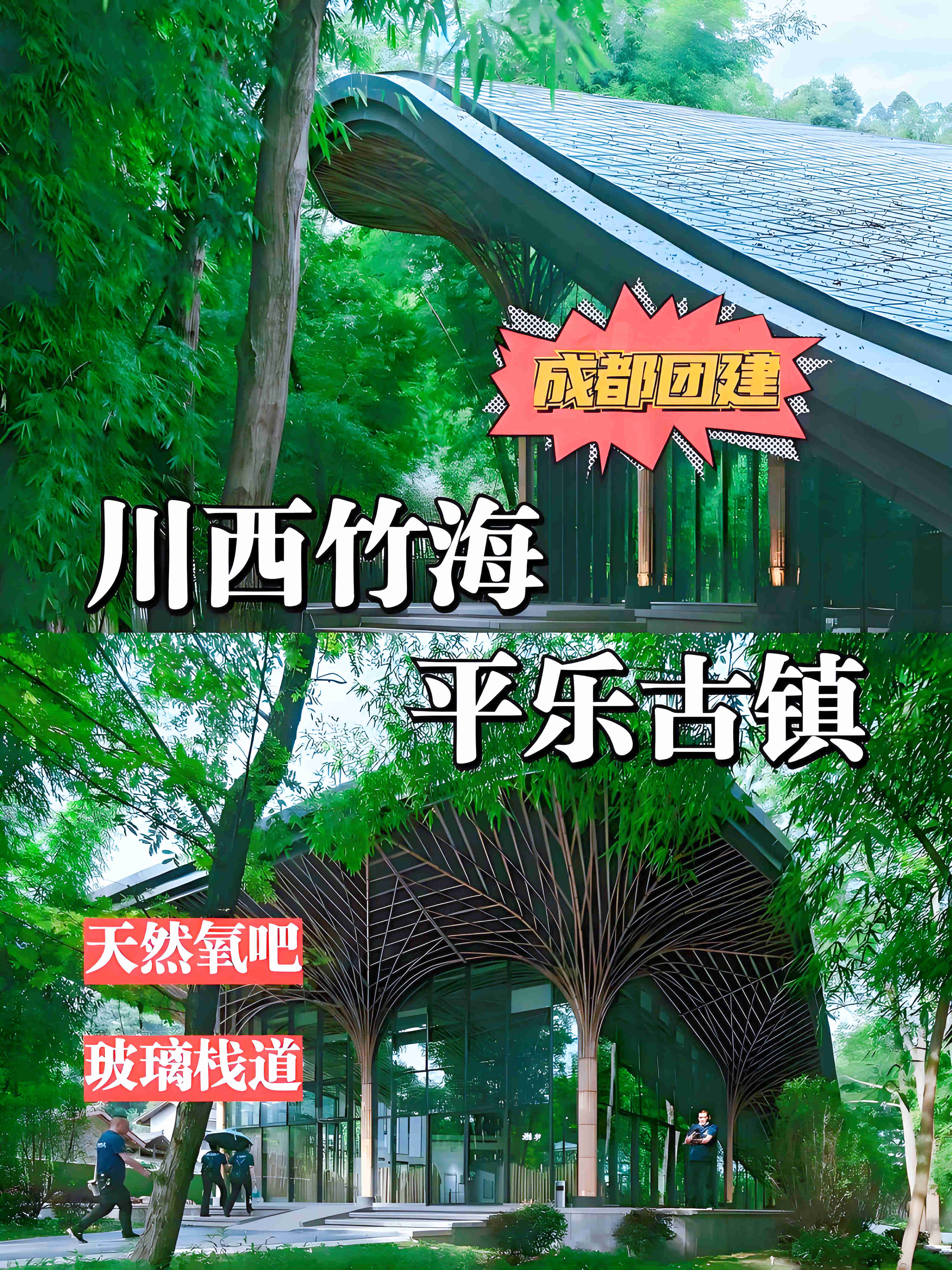 川西竹海企业团建