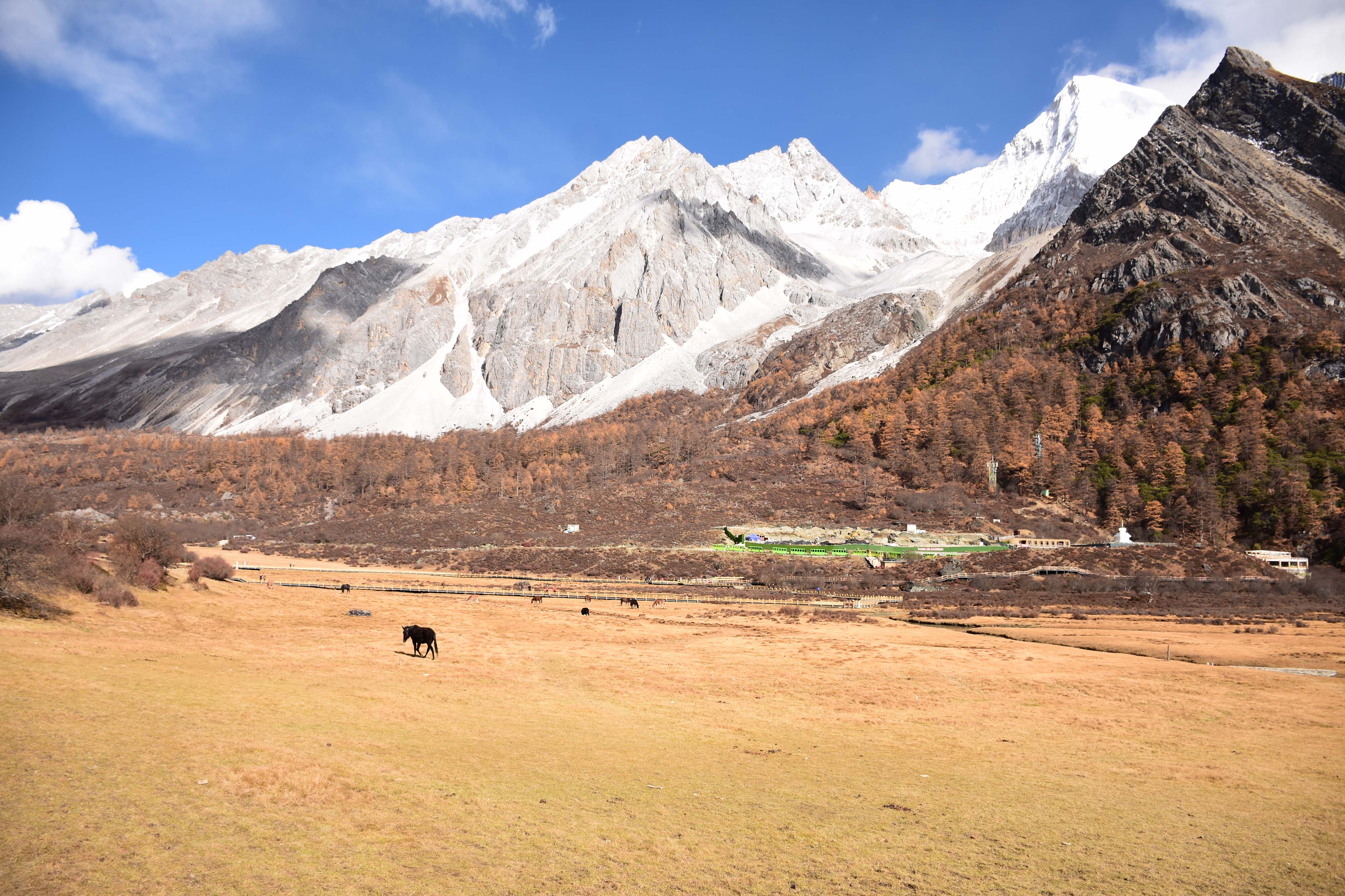 纵情跋涉 四姑娘山+稻城亚丁+木格措纯玩五日游 纵情川西，遇见人间仙境