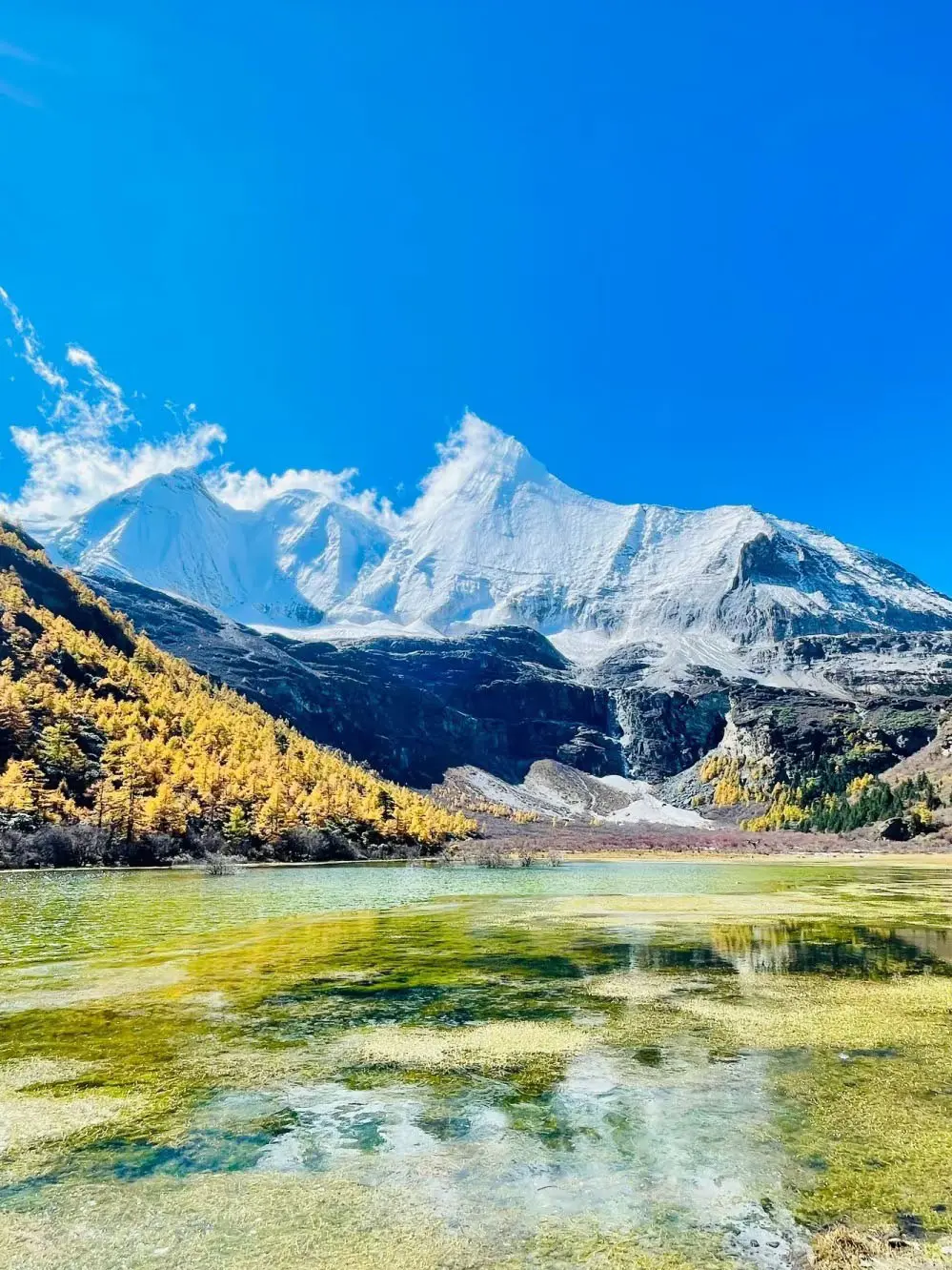 带孩子去川西高原安全吗？这5个判断标准帮你做决定｜川迹时光国际旅行社