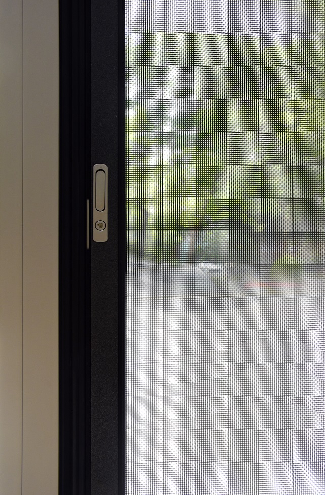 1597991139456825.jpg _DSC0030.JPG