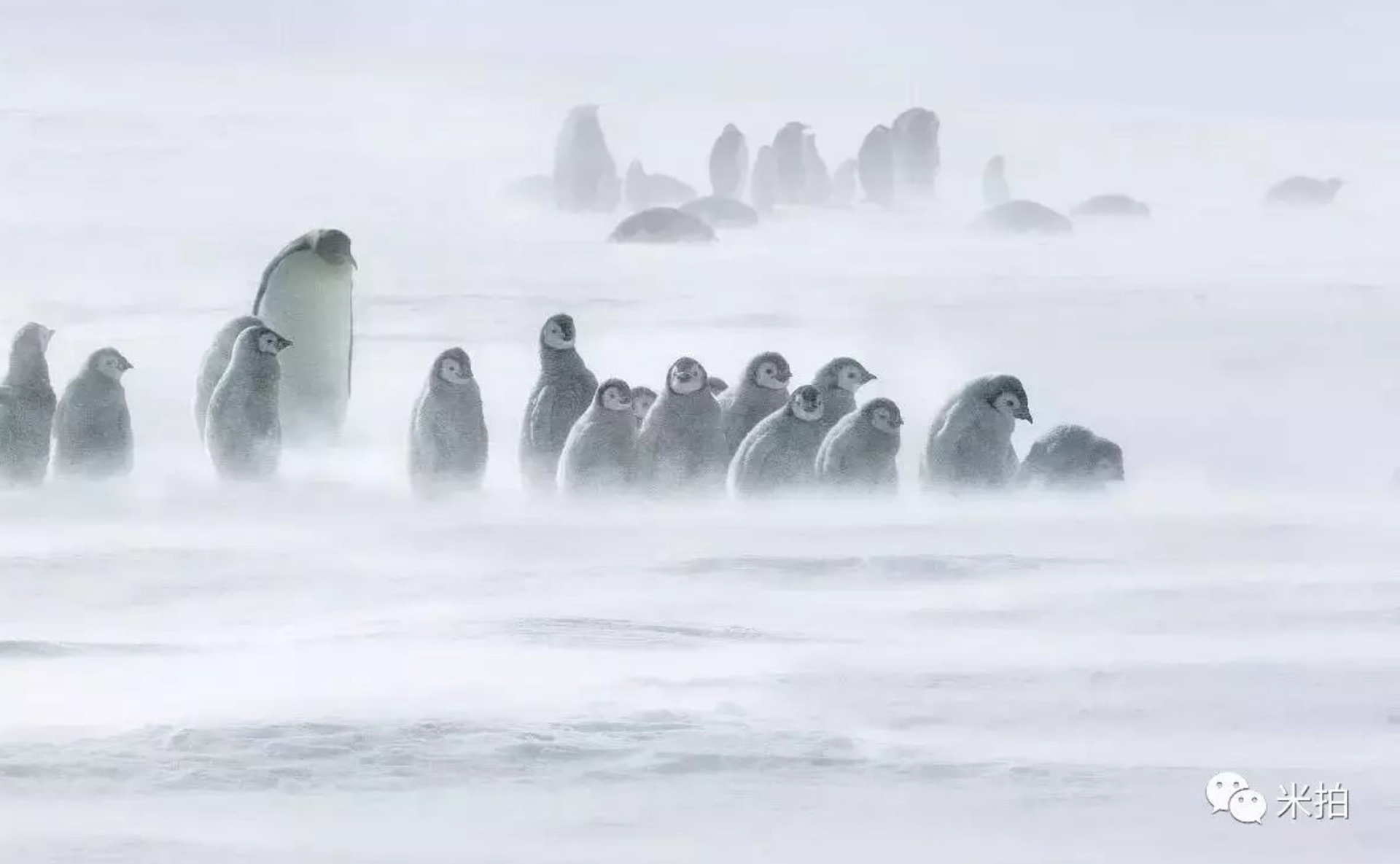 瑞景冰雪——冰雪公益活動邀請您的加入.........