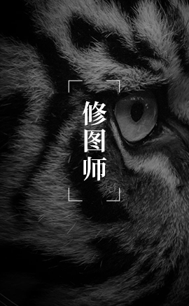 威海 | 大专及以上 | 3-5年