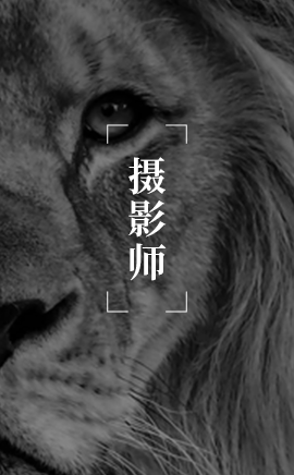 威海 | 大专及以上 | 3-5年