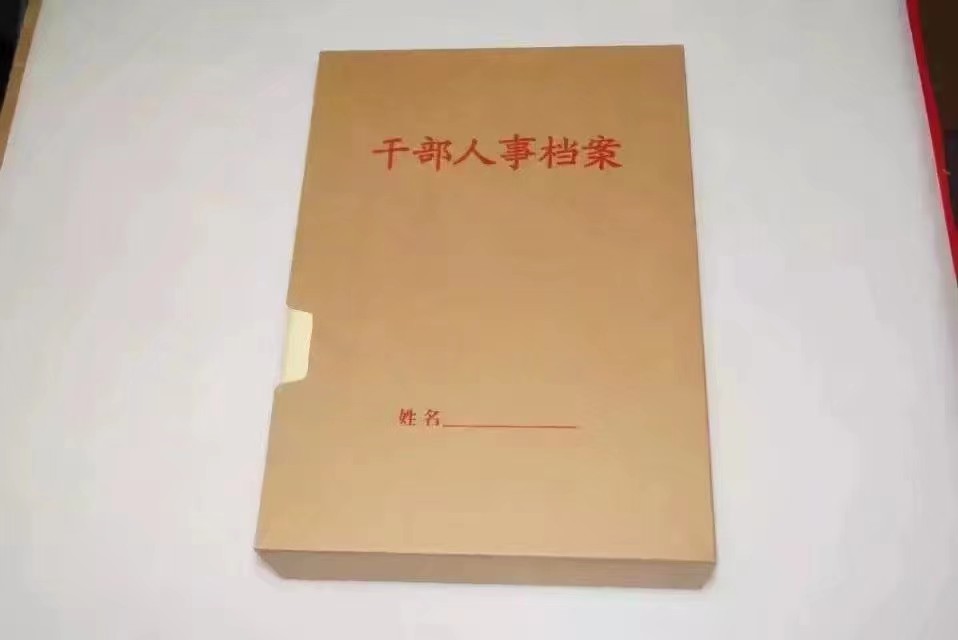 案例展示