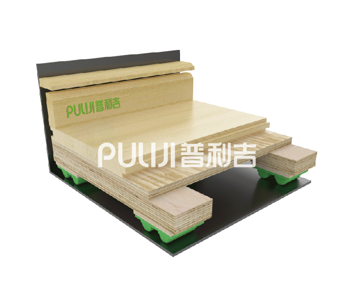 P - DL System