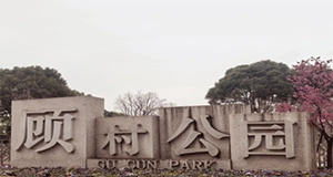 顾村公园