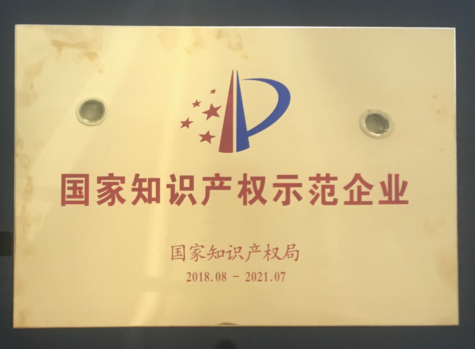 国家知识产权示范企业（2018-2021）