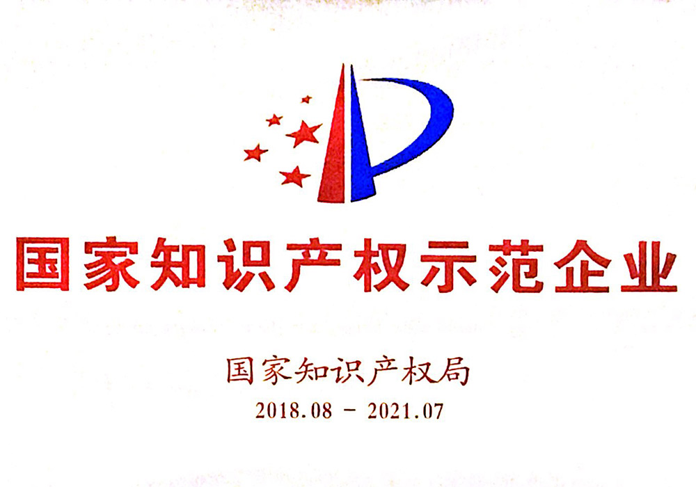 National Intellectual Property Demonstration Enterprise (2018-2021)