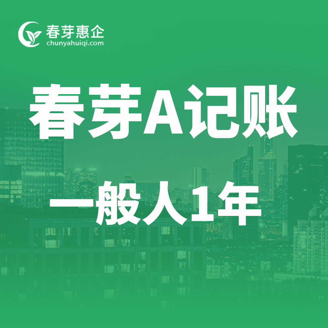 春芽A记账一般人1年