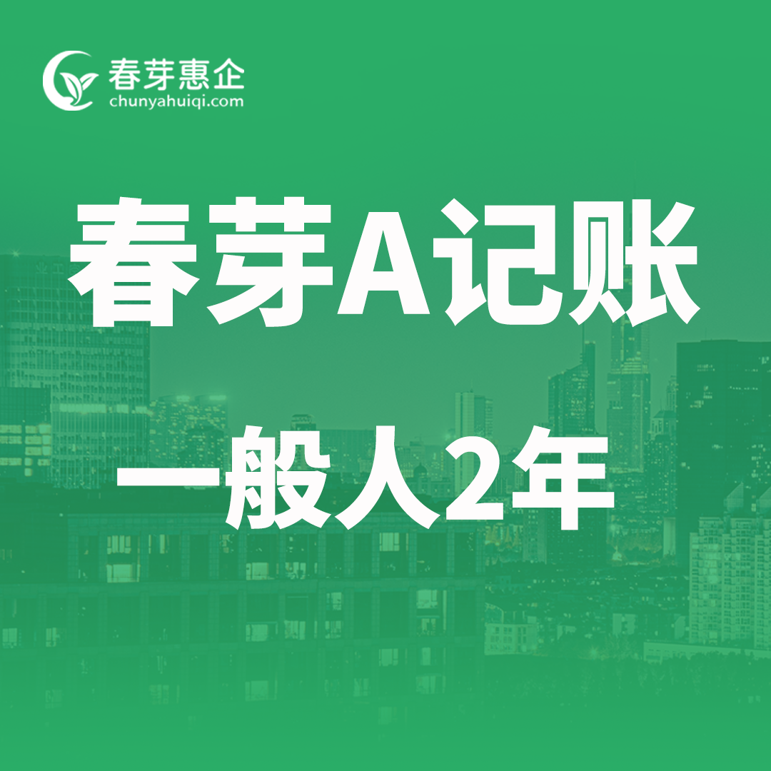 春芽A记账一般人2年