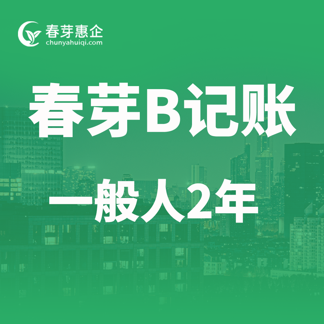 春芽B记账一般人2年