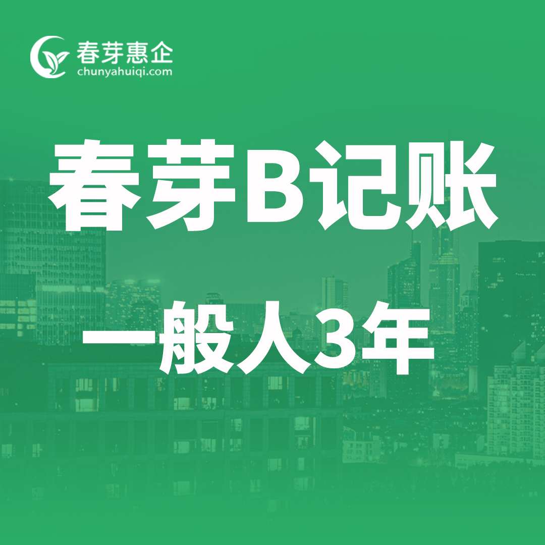 春芽B记账一般人3年