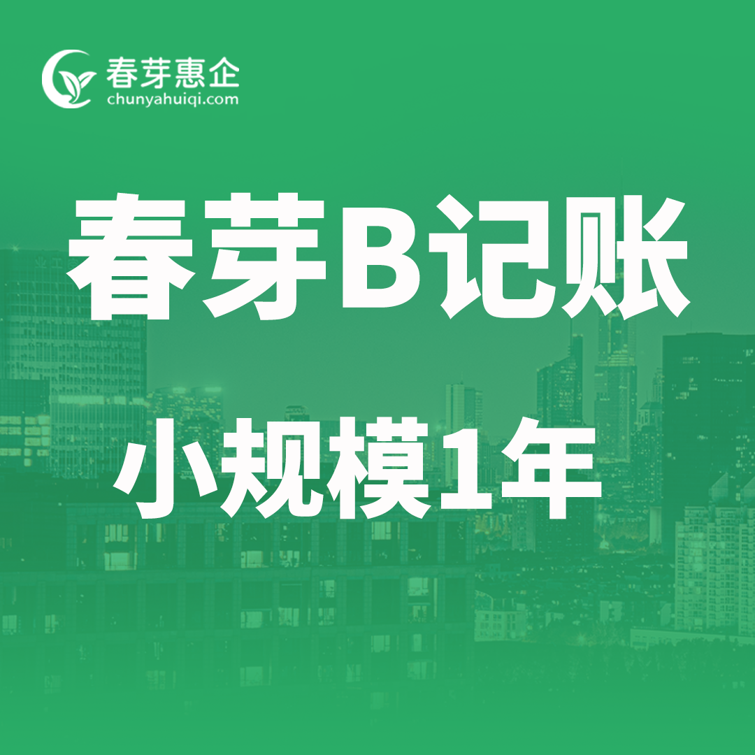 春芽B记账小规模一年