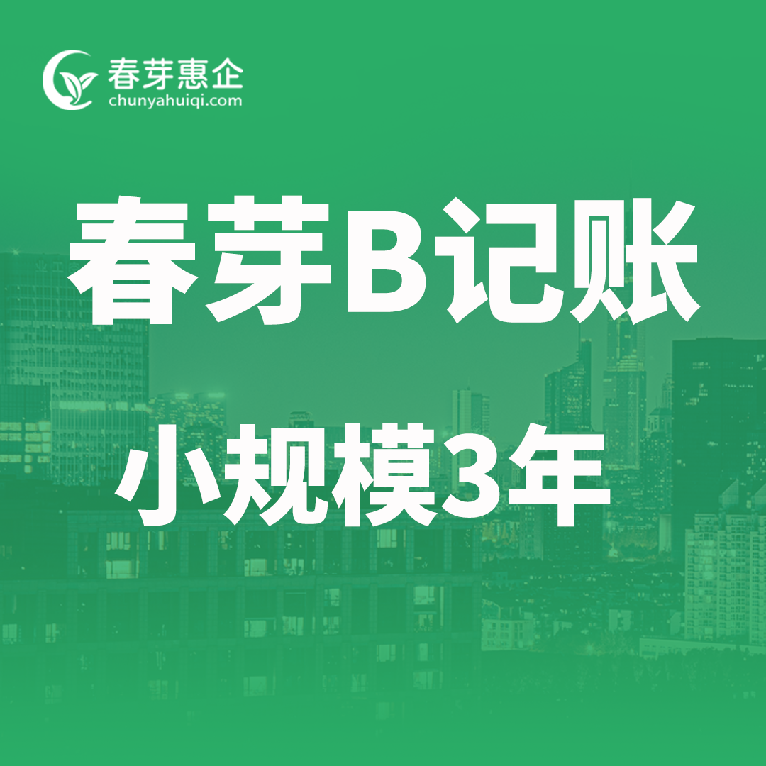 春芽B记账小规模3年