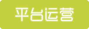 成都网站运维