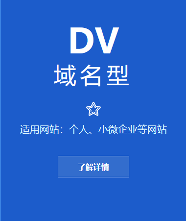 DV域名型