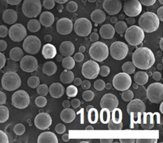 L-丙交酯/乙交酯共聚物（PLGA）微球