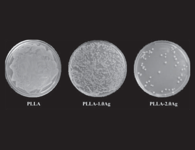 

	具有抗菌功能的聚乳酸基纳米纤维膜的构建及生物学评价 

