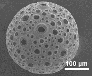 聚ε-己内酯 (PCL) 微球