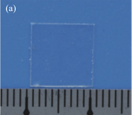 
	
高分子量外消旋聚乳酸的合成、表征及工艺优化 
