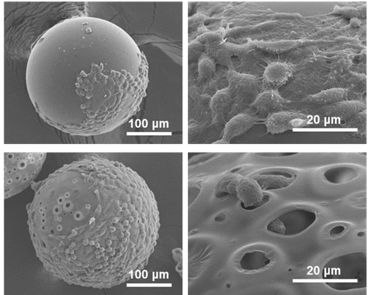 生物医用微球加工服务