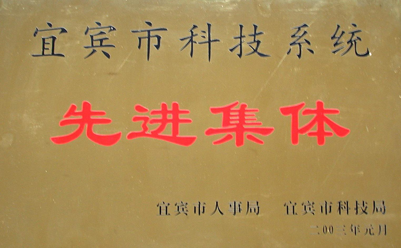 <span>先进集体</span>