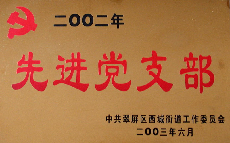 <span>先进党支部</span>