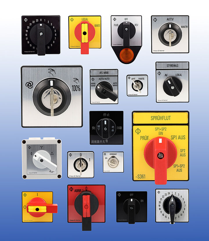 Kraus＆Naimer奥地利蓝系列开关定制服务