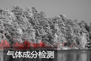 <span style="font-family:SimHei;">气体成分检测</span>