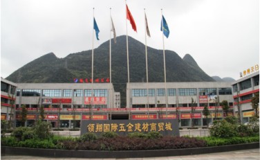领翔国际