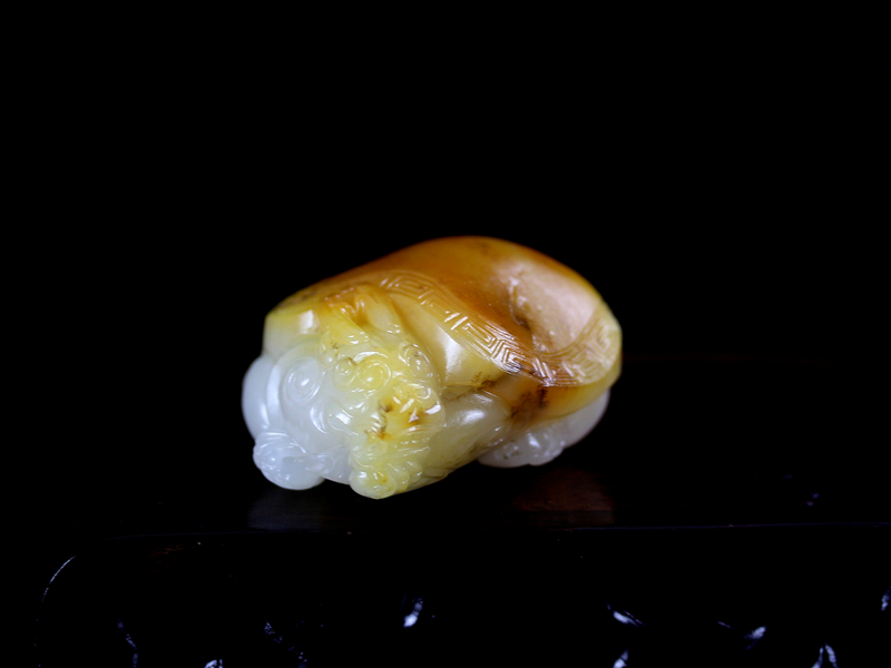 龙龟