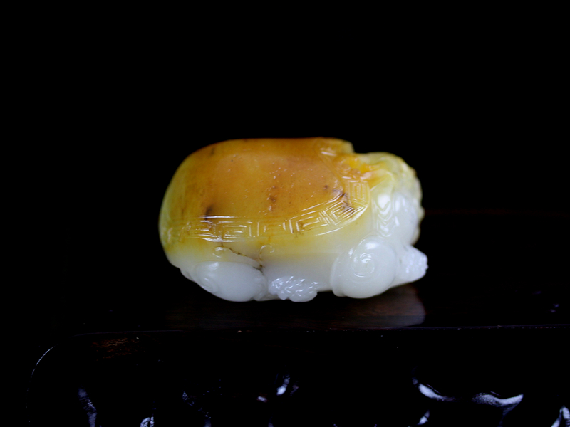 龙龟