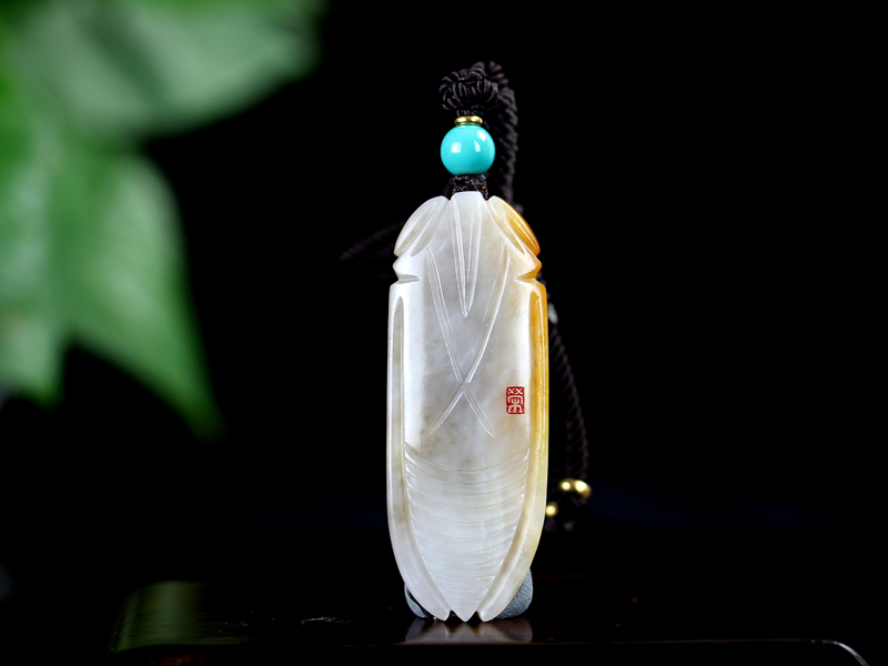 蝉