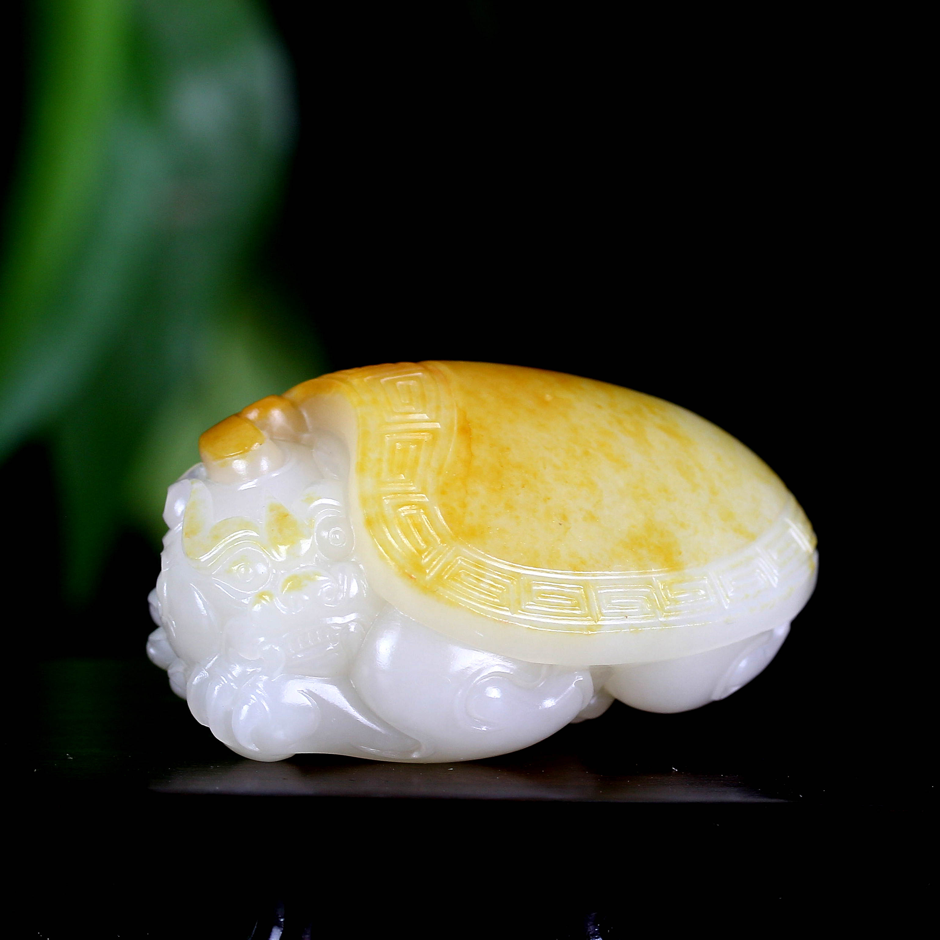 貔貅