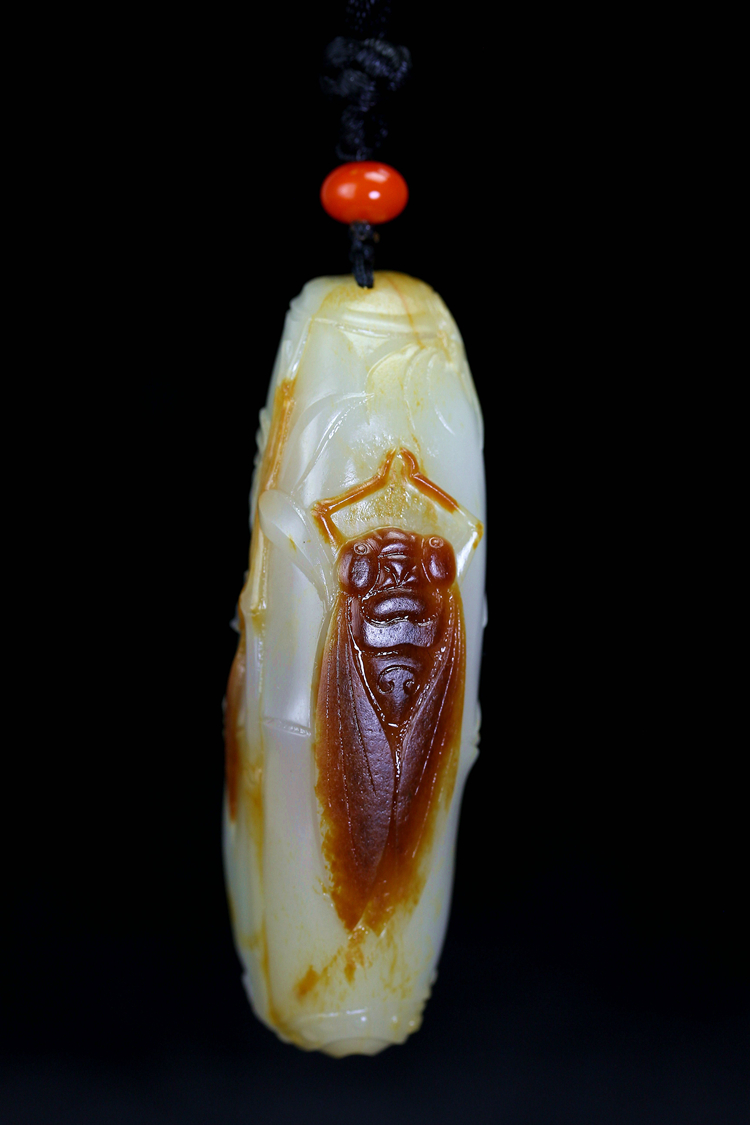 竹蝉