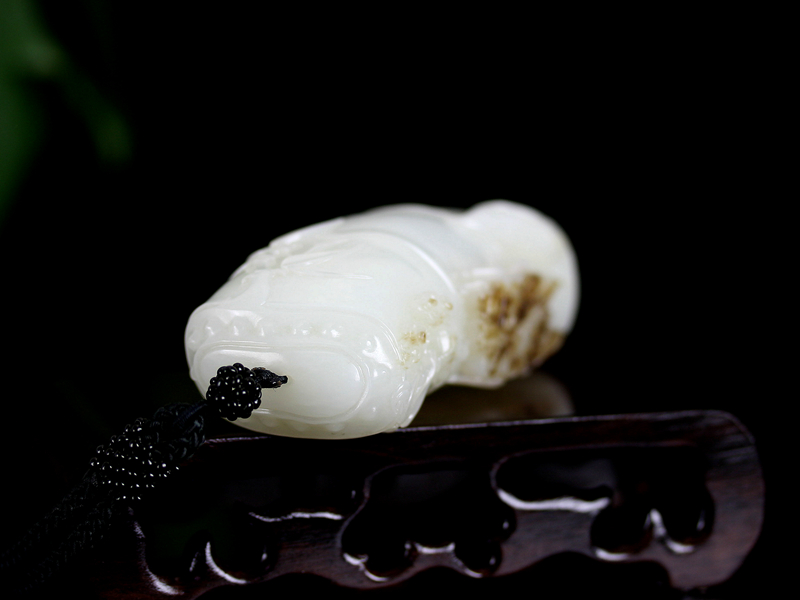 竹蝉