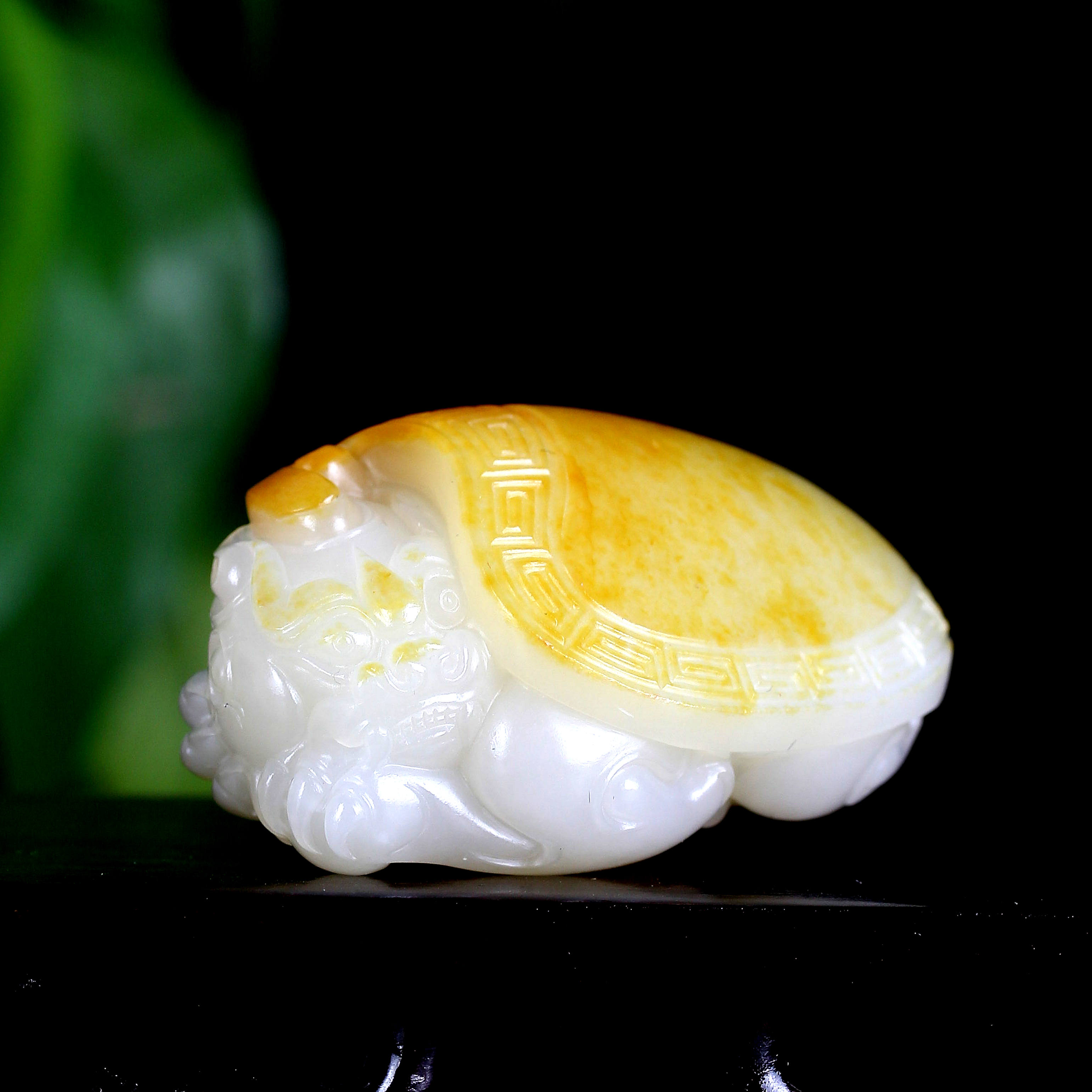 貔貅
