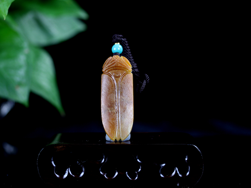 蝉