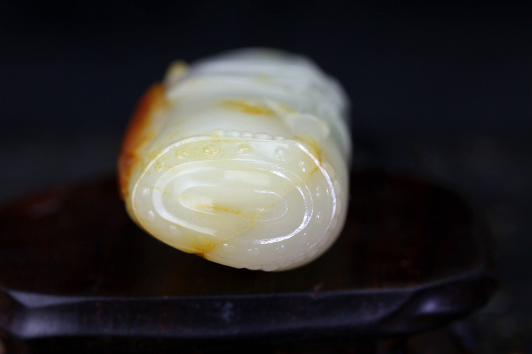 竹蝉