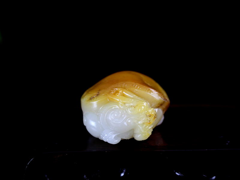 龙龟